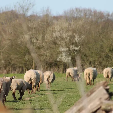 Les Ecuries * Saint-Maurice-en-Cotentin