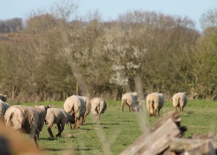 Les Ecuries * Saint-Maurice-en-Cotentin